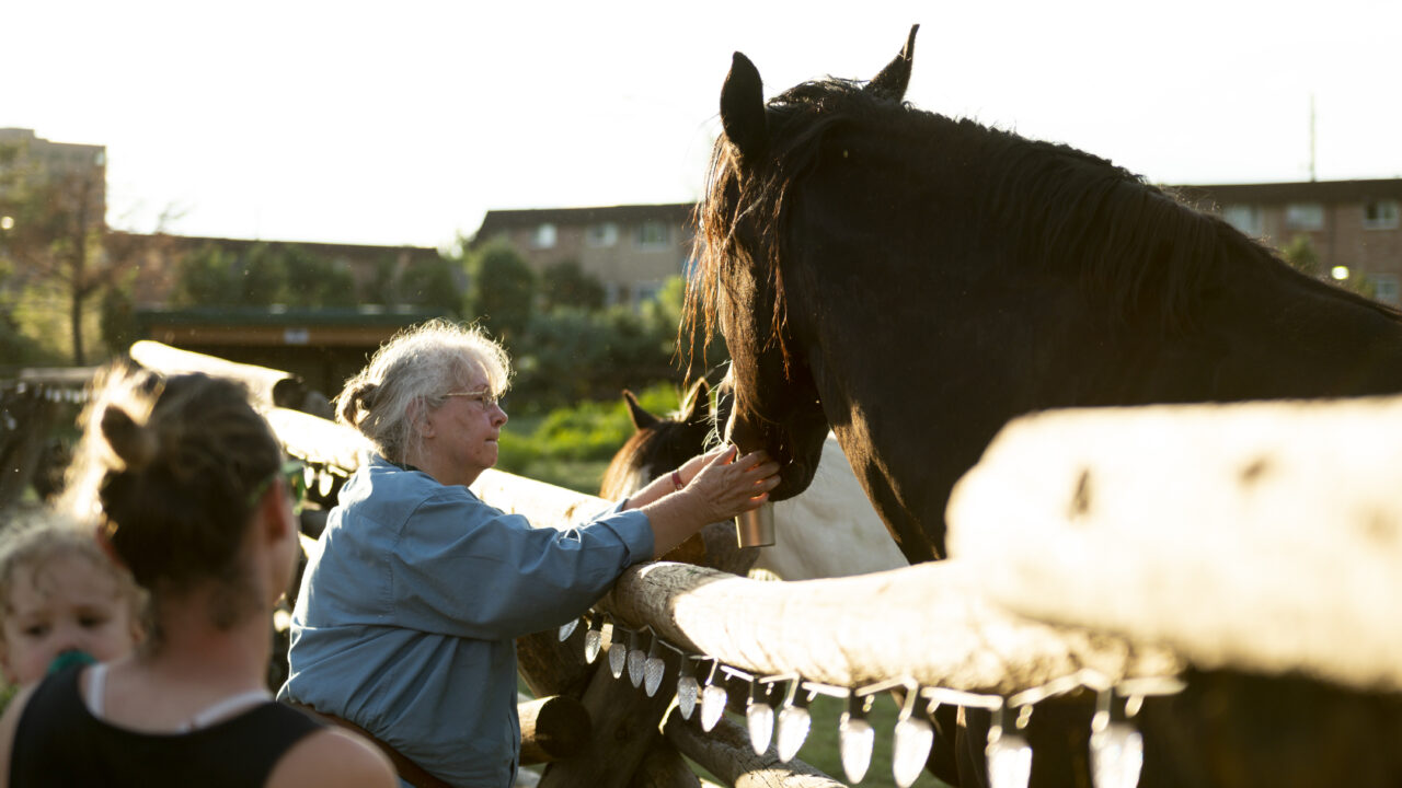 Una anciana dando de comer a un caballo junto a una valla de madera, con gente alrededor