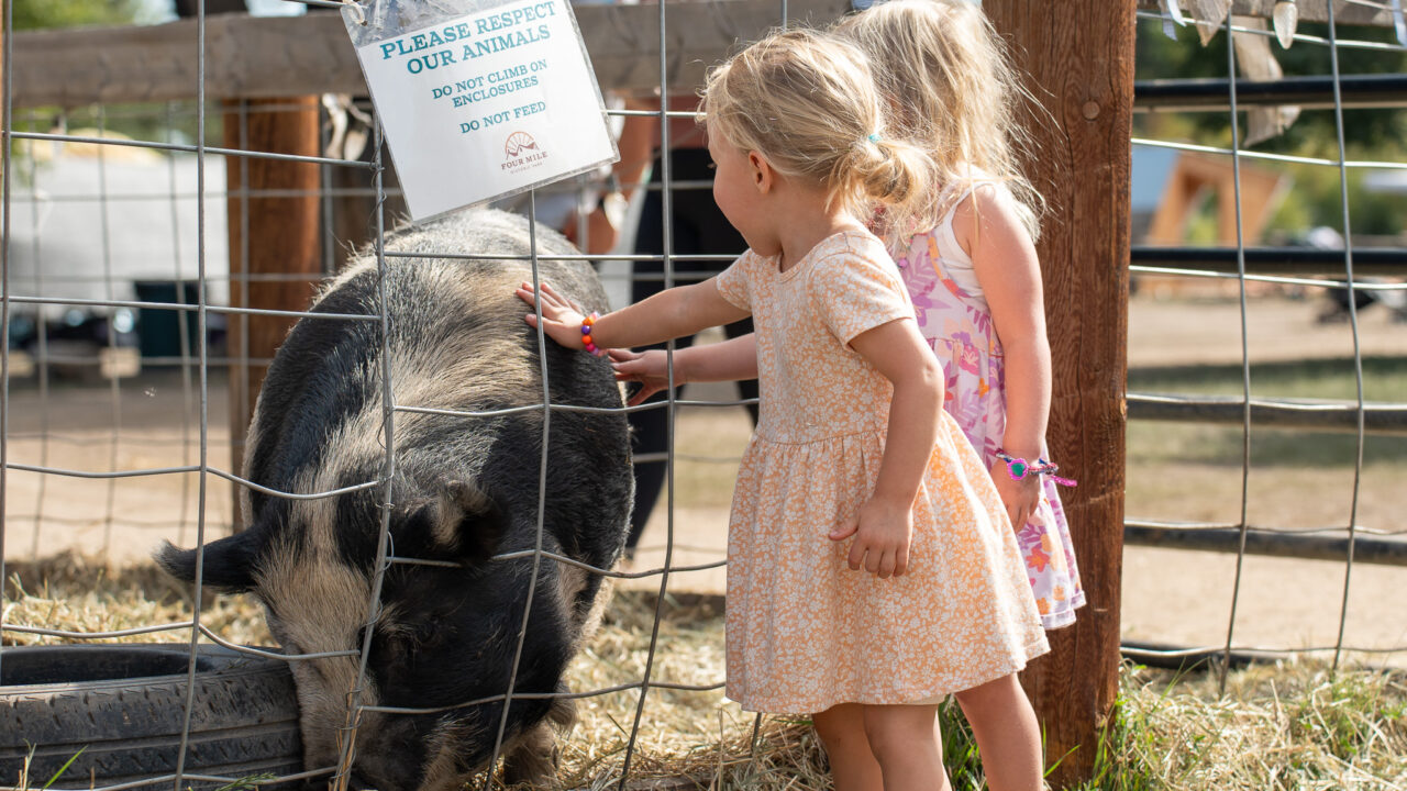 Two children pet a pig through a fence displaying the sign, "Please respect our animals. Do not climb on enclosures. Do not feed."