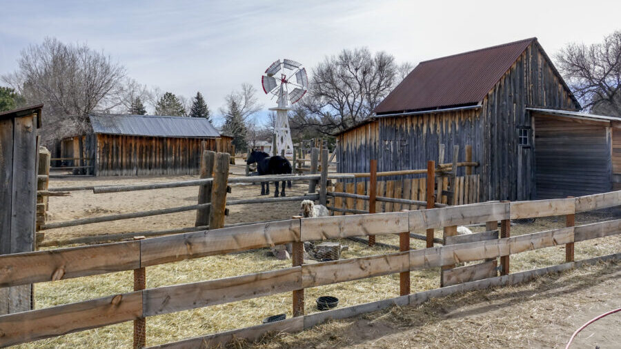 Rustic farm scene with wooden barns, windmill, and fenced livestock area featuring a black horse