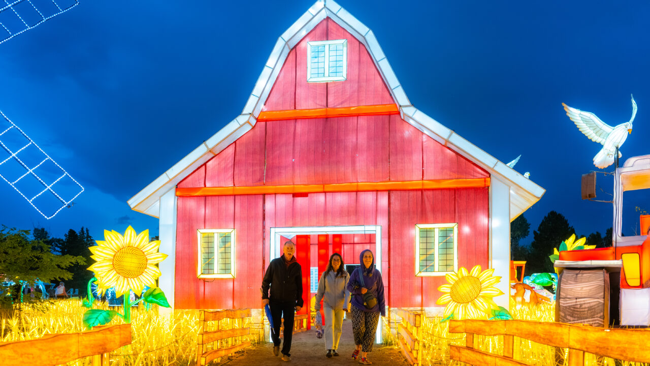 Three people walking through illuminated barn with sunflowers at night
