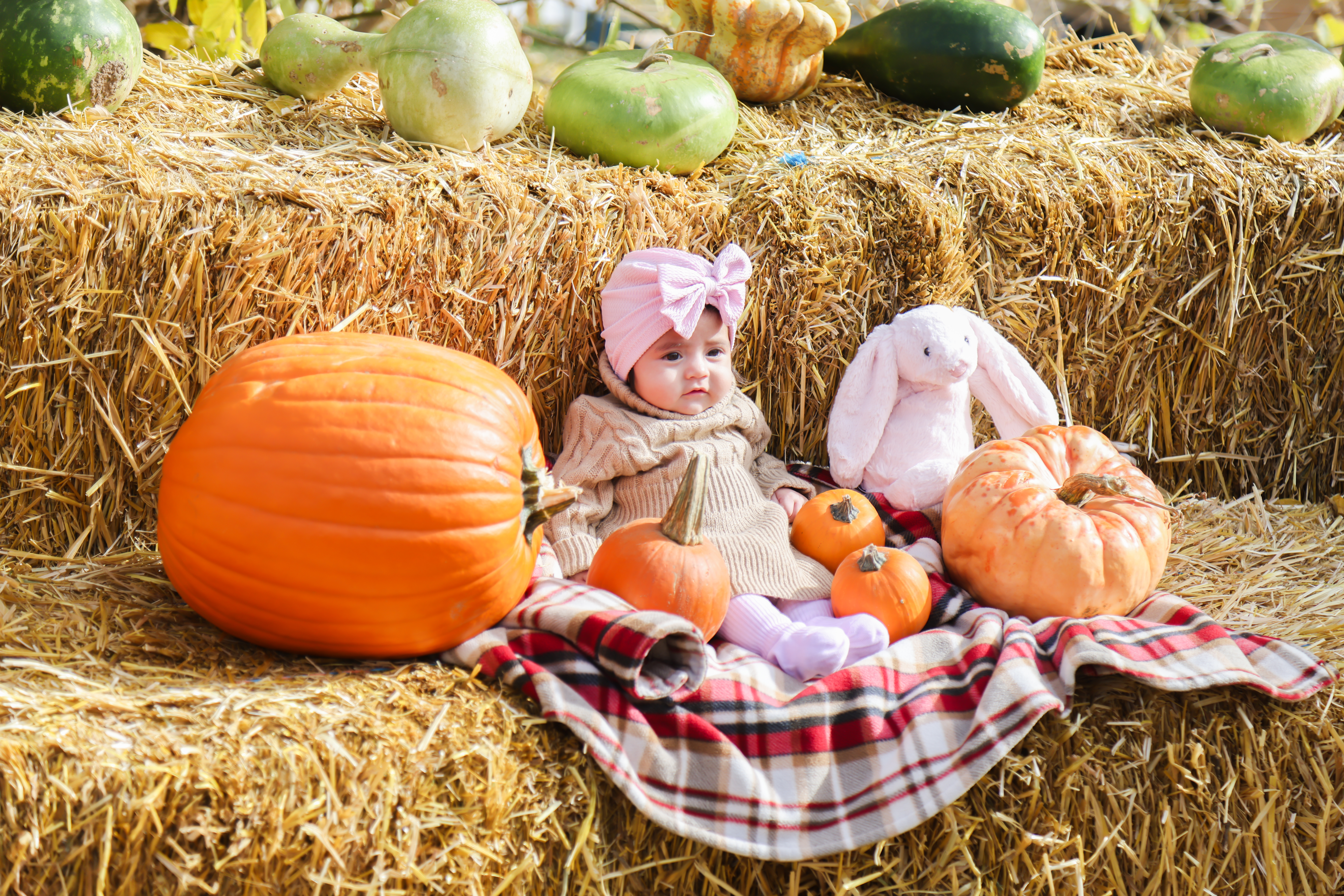 Baby in a knitted outfit, surrounded by pumpkins, sitting on hay bales, next to a plush bunny