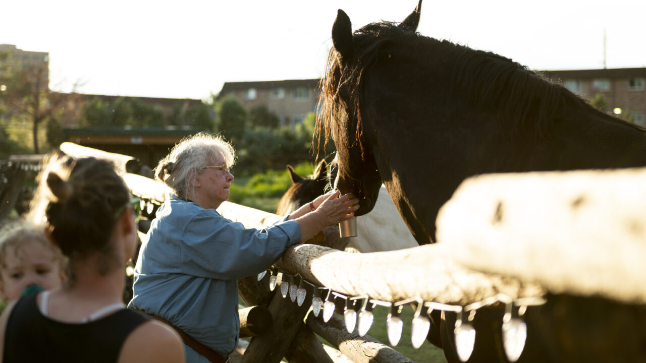 Older woman feeding a horse over a wooden fence, with another person nearby in sunlight