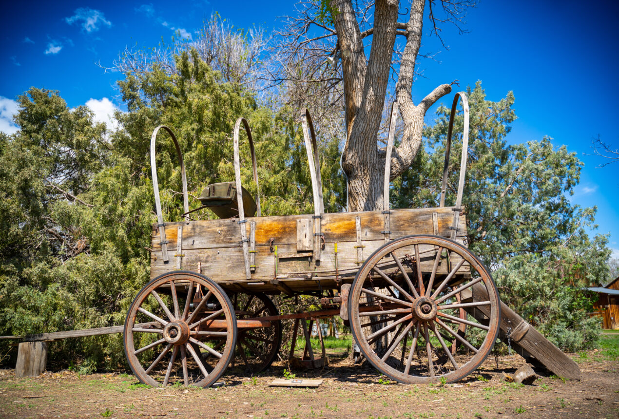 Una vieja carreta de madera cubierta, rodeada de árboles y bajo un cielo azul