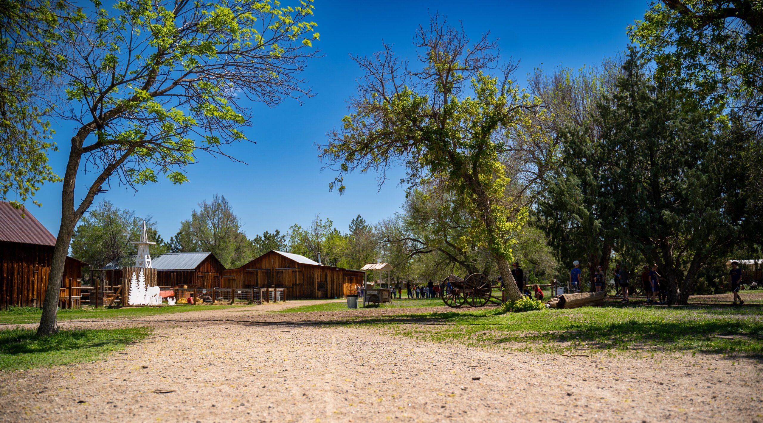 Camino de tierra que conduce a unas cabañas rústicas de madera rodeadas de árboles en Four Mile Park