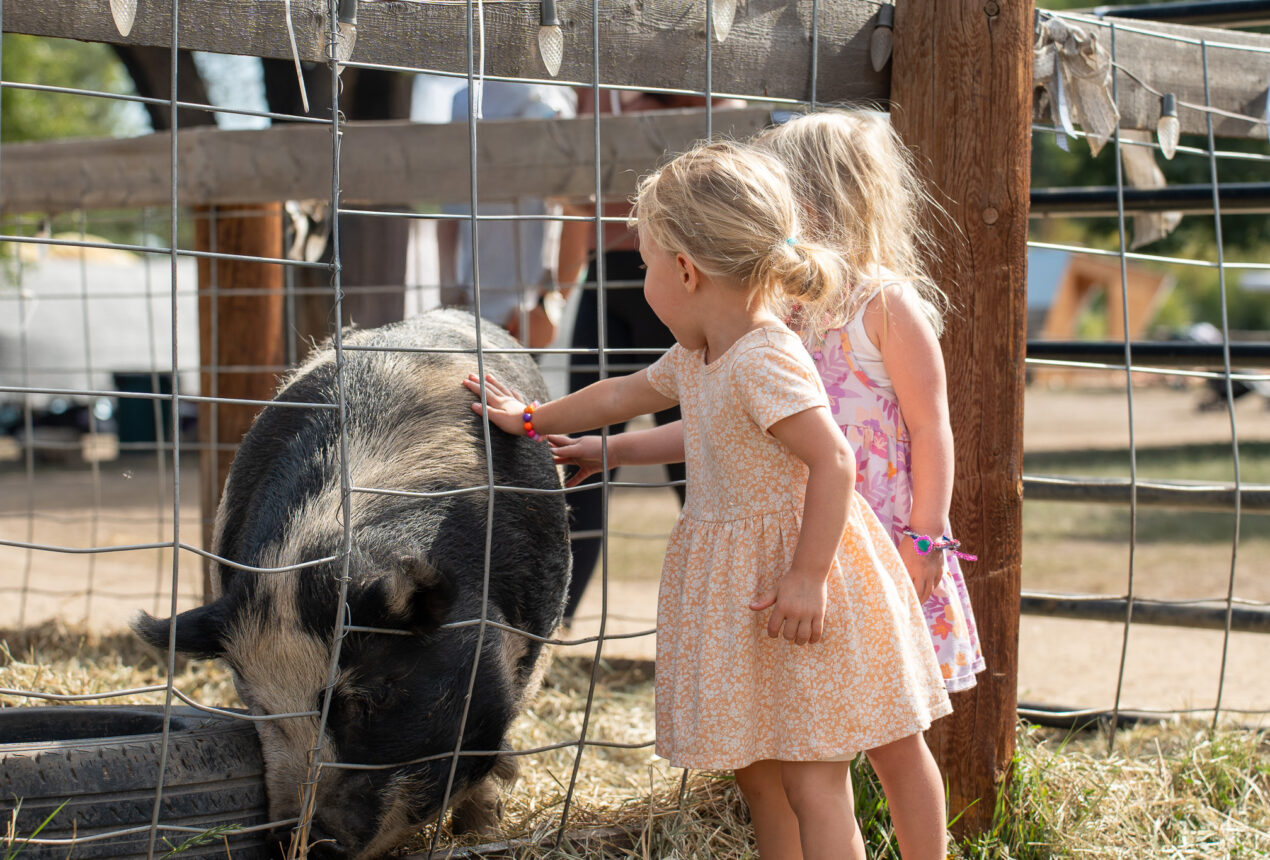 Dos niños pequeños acariciando a un cerdo a través de una valla, un día de verano