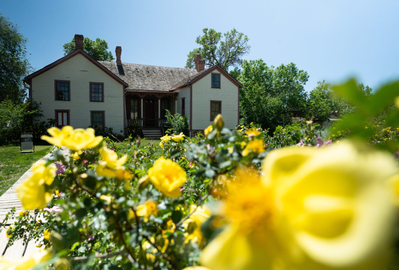 Casa histórica con un jardín de rosas amarillas en primer plano